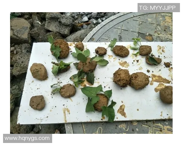 游戏本土化策略探讨如何让西方游戏顺利融入东方市场与文化